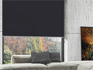 Afbeelding voor categorie XL rolgordijnen