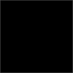 Zwart mat (RAL 9005)